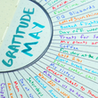 Load image into Gallery viewer, gratitude tracker for a5 journal